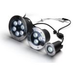 sp cct 12w segnapassi