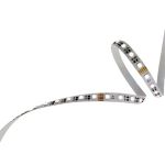 str rgbw 10w 24v 60d cc strisce led smd 5050